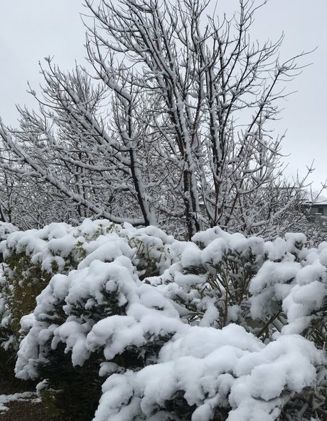 tomiko 1 high quality pornstar galleries