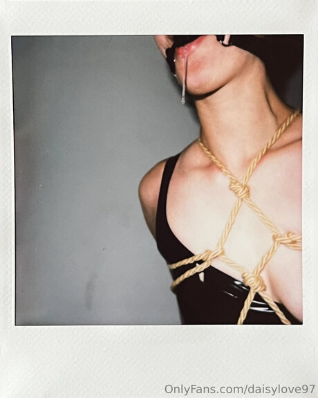 DaisyLove97 nude star archive