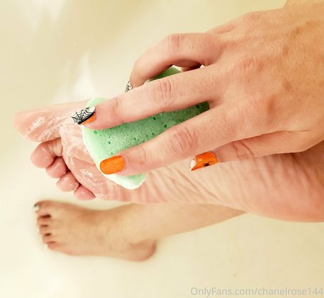 chanelrose144 beautiful star photos