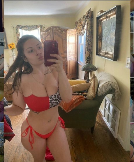 alicortese nice model archive