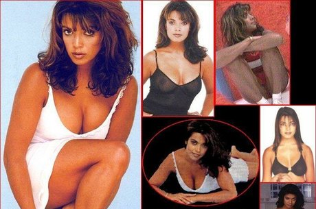 Jenny Powell beautiful star galleries