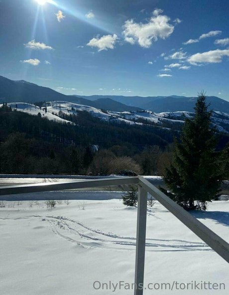 bodybuilder male onlyfans free sexy photos