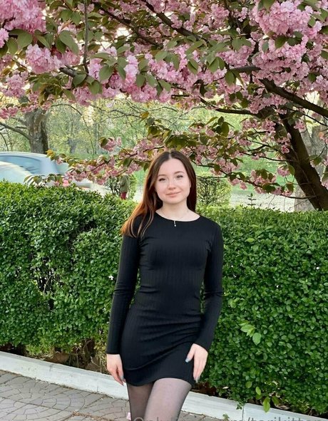 torikitten art pornstar pictures