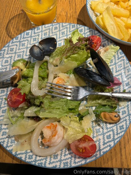 Sally Ride high quality pornstar gallery