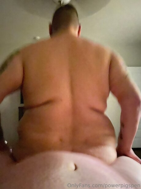 Powerpigspen model beautiful images