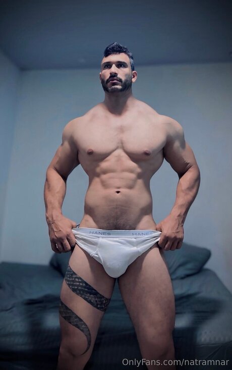 Natramnar high quality model img