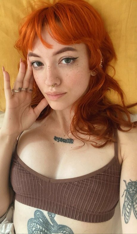 Pleasequietdown erotic star photos