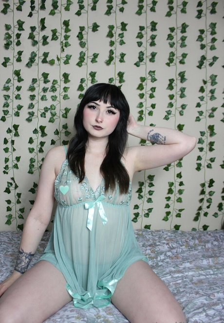 wolfierikku pretty star gallery