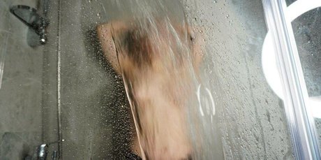 Nikol Koulen art star gallery