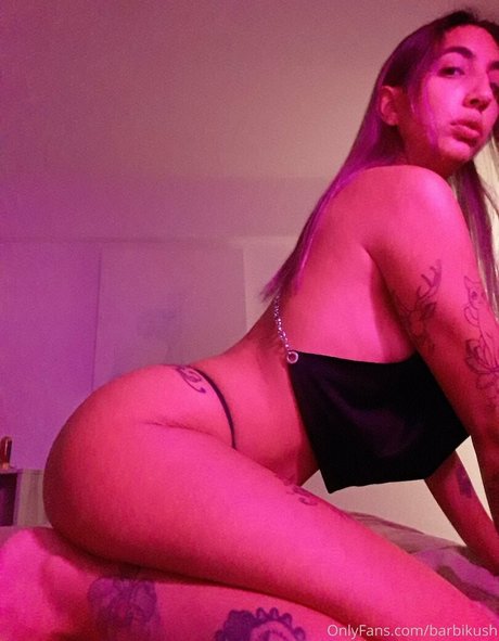 barbikush Quick model image