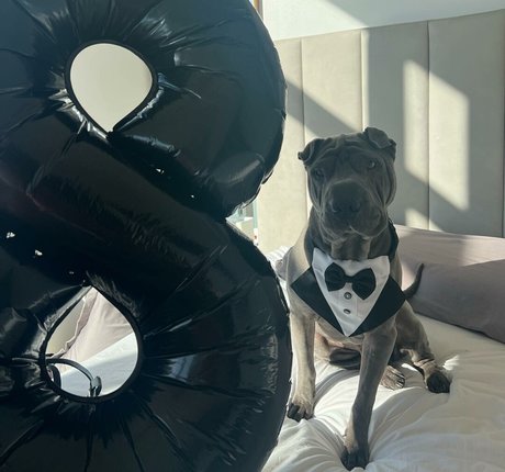 amyanderssen porn actress image