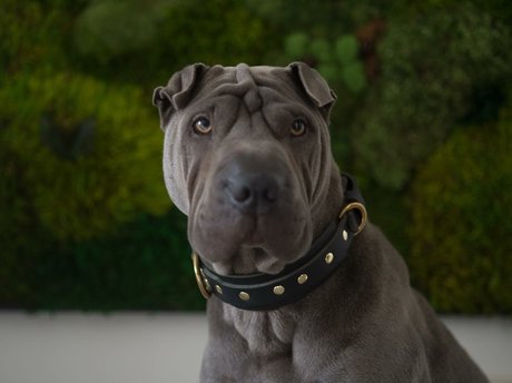 amyanderssen model sex archive