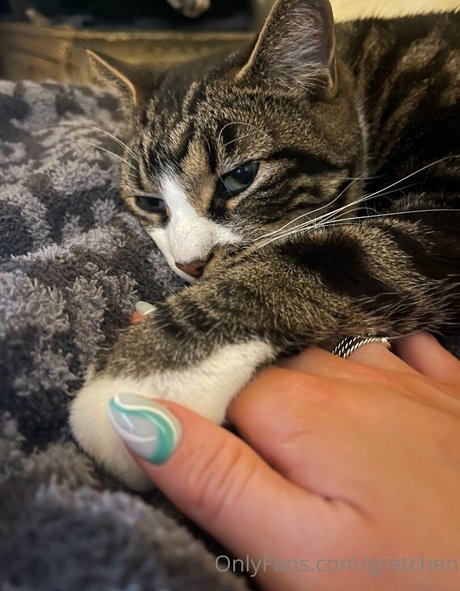 gretchen pornstar sexy pics