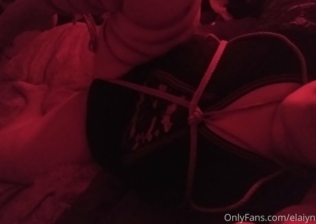 evelynmusefree hd star gallery