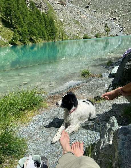 aryafaye pornographic actress pictures