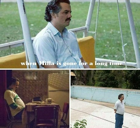 camping onlyfans best gallery