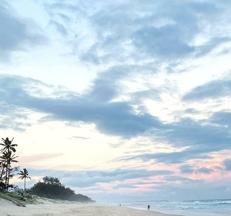 Desi Johnson pornographic actress photos