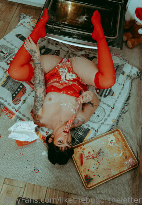 likethebugortheletter model top photo