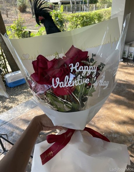 ladyboymos star xxx image