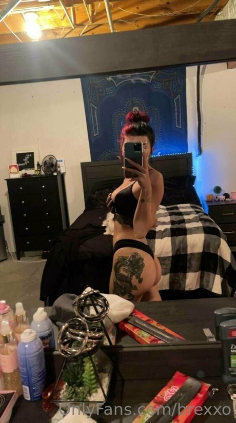 brexxo star top archive