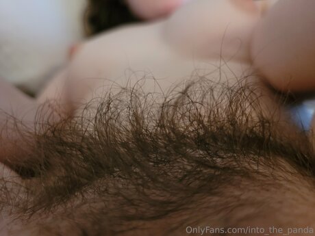 into the panda pornographic model img