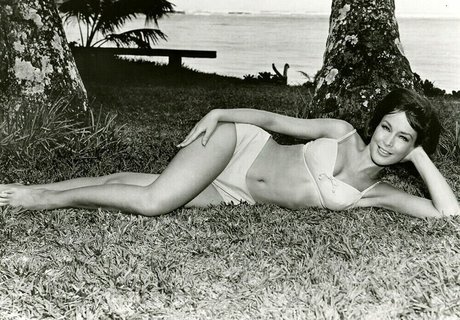 Barbara Eden pornstar hd pictures