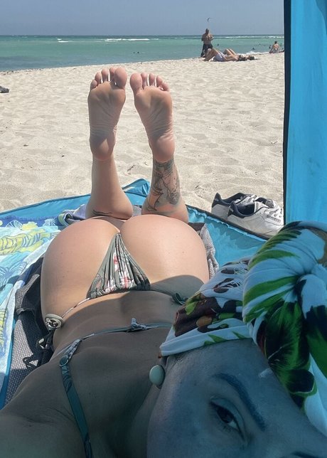 djcharcuterie pornographic star img