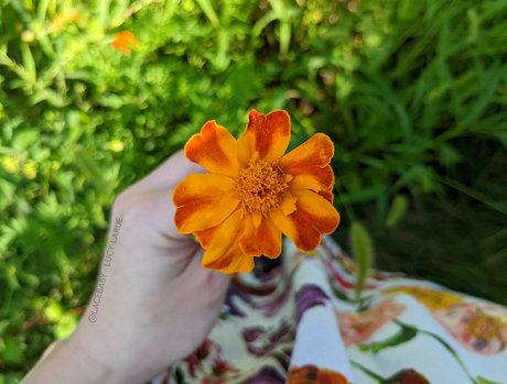 lucylarue nice pornstar pictures