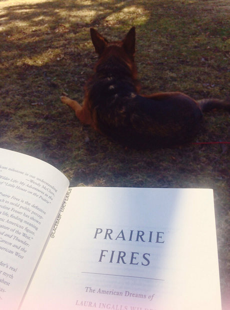 lucylarue exclusive pornstar galleries