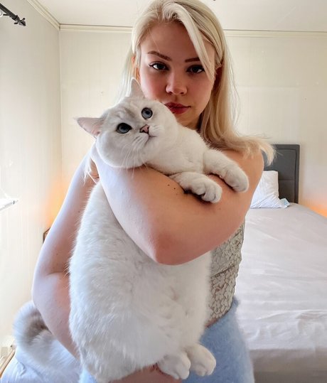 Majijej erotic star img