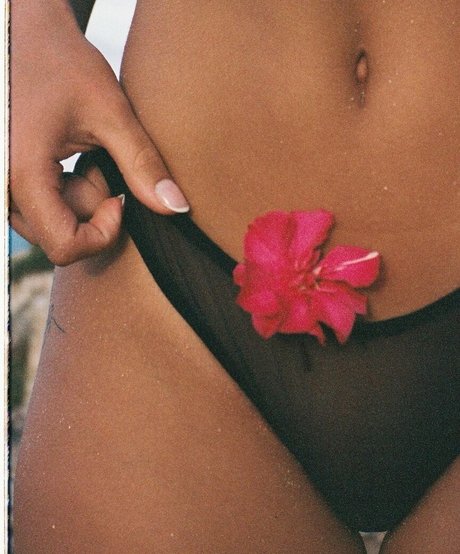 anna are_ star porn archive