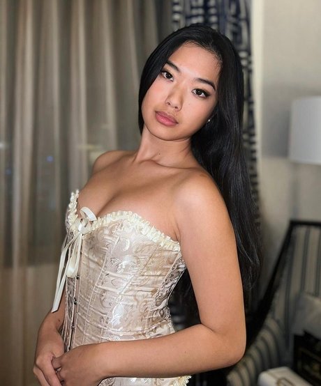 Nemsko model art image