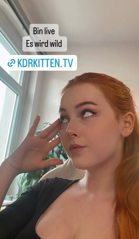 KDRkitten art model pic