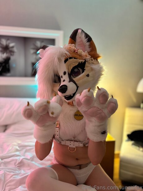 Lunarifox beautiful model galleries