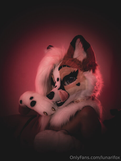 black kitty onlyfans beautiful photo