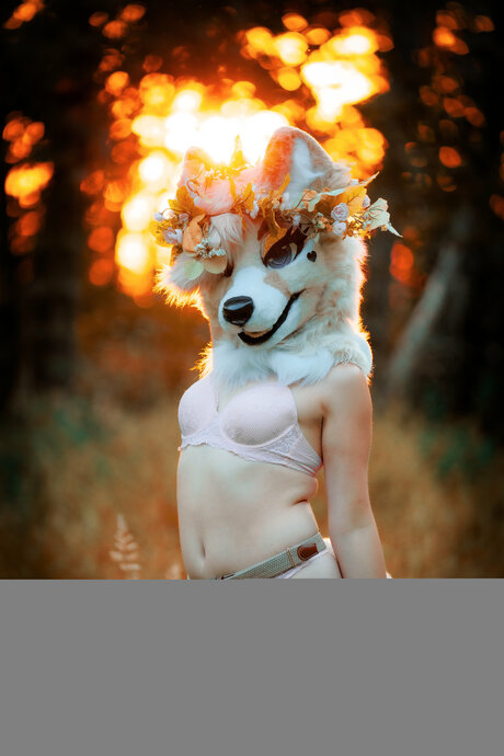 Lunarifox model top images