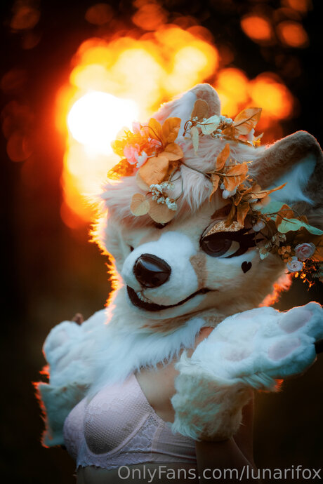 Lunarifox model beautiful gallery