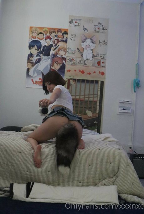 wtsdafuzz star perfect img