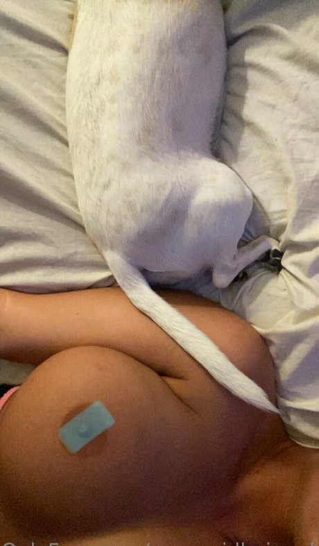 big tits curvy onlyfans adult img