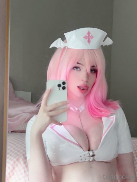 Todopoki hd model images