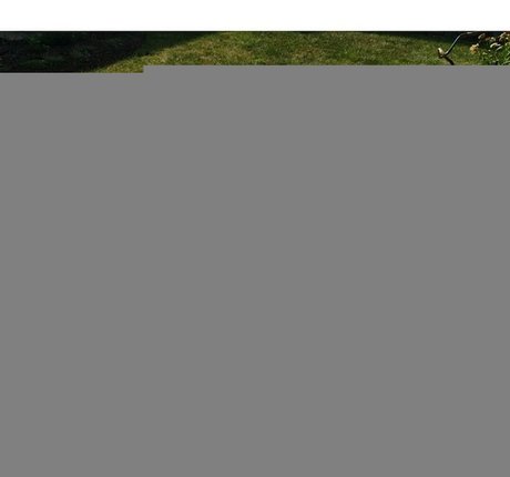 blonde cum onlyfans hd pics