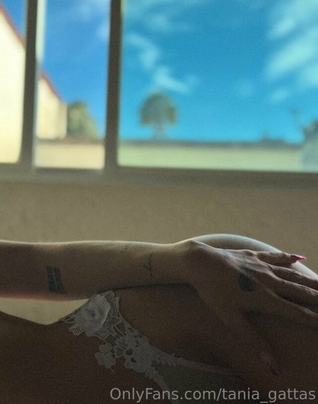 Tania Gattas pornstar pretty photo