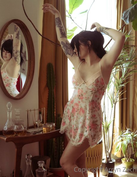 Arryn Zech pornstar free gallery