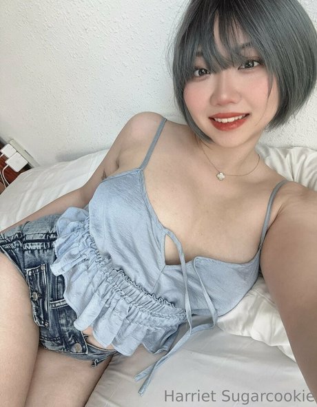 Harriet Sugarcookie pornstar sexy photo