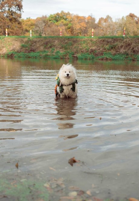 female influencer onlyfans free xxx images