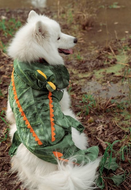 fitnessmodel onlyfans hot xxx img