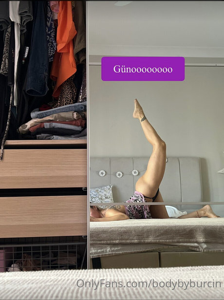 Burcin Erol nude actress picture