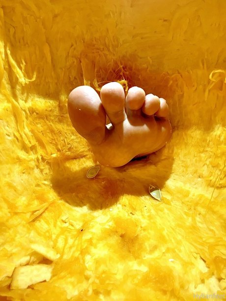 bbw big tits onlyfans hot nude images