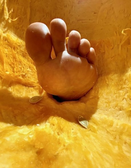 ZeldaHyrule art pornstar pictures