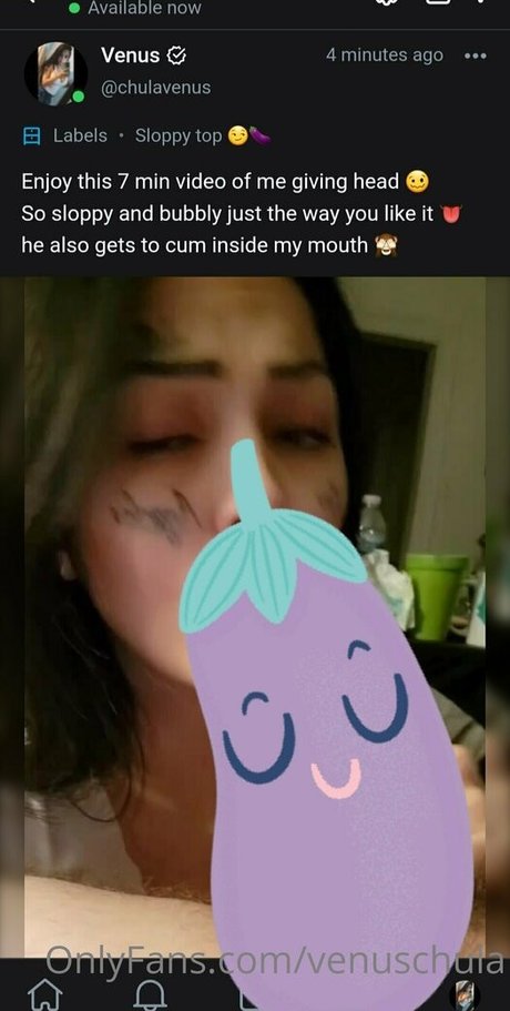 venuschula pornstar adult pic